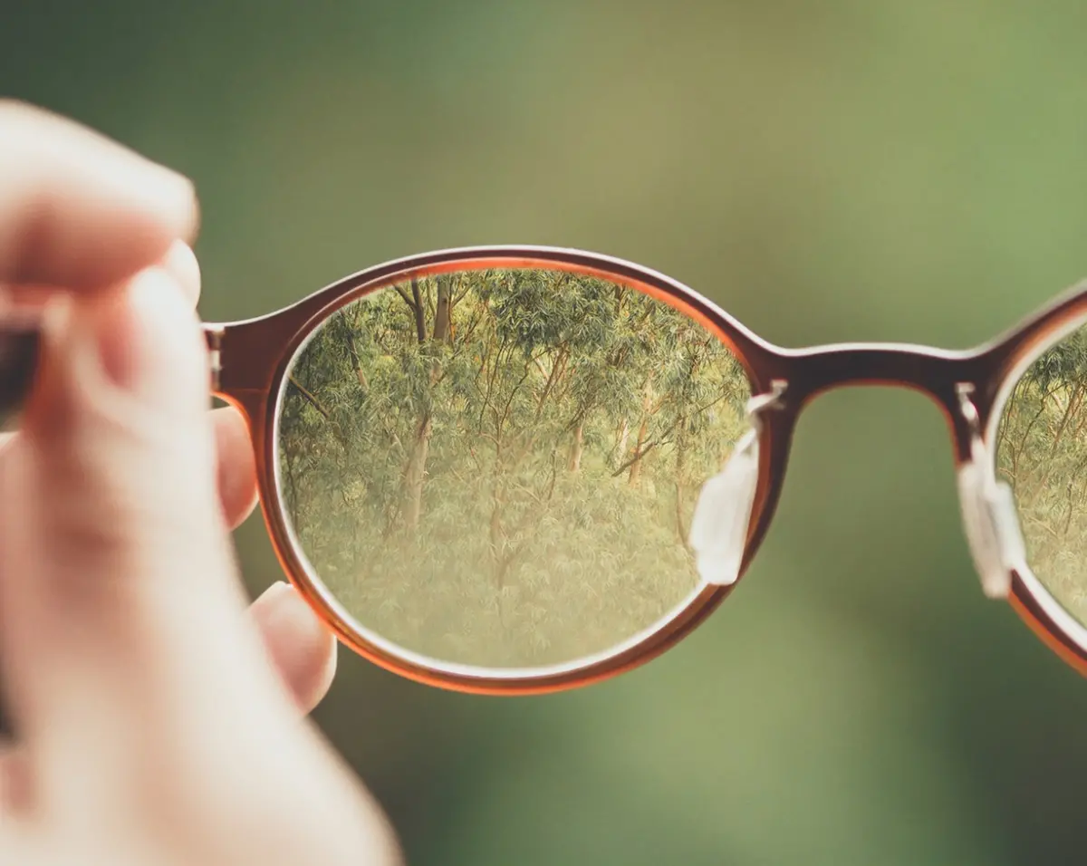Glasses
