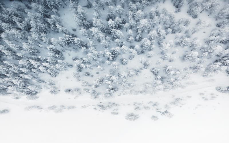 Winter landscape