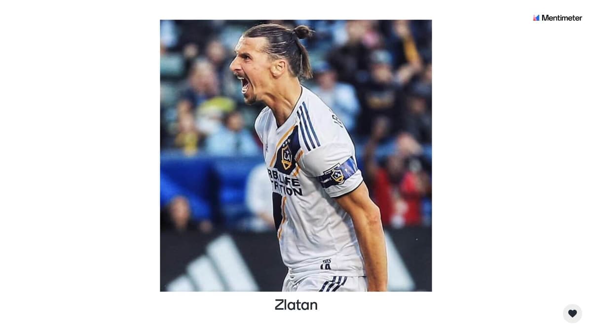 Zlatan Ibrahimovic Quiz