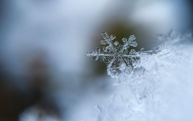 Snow