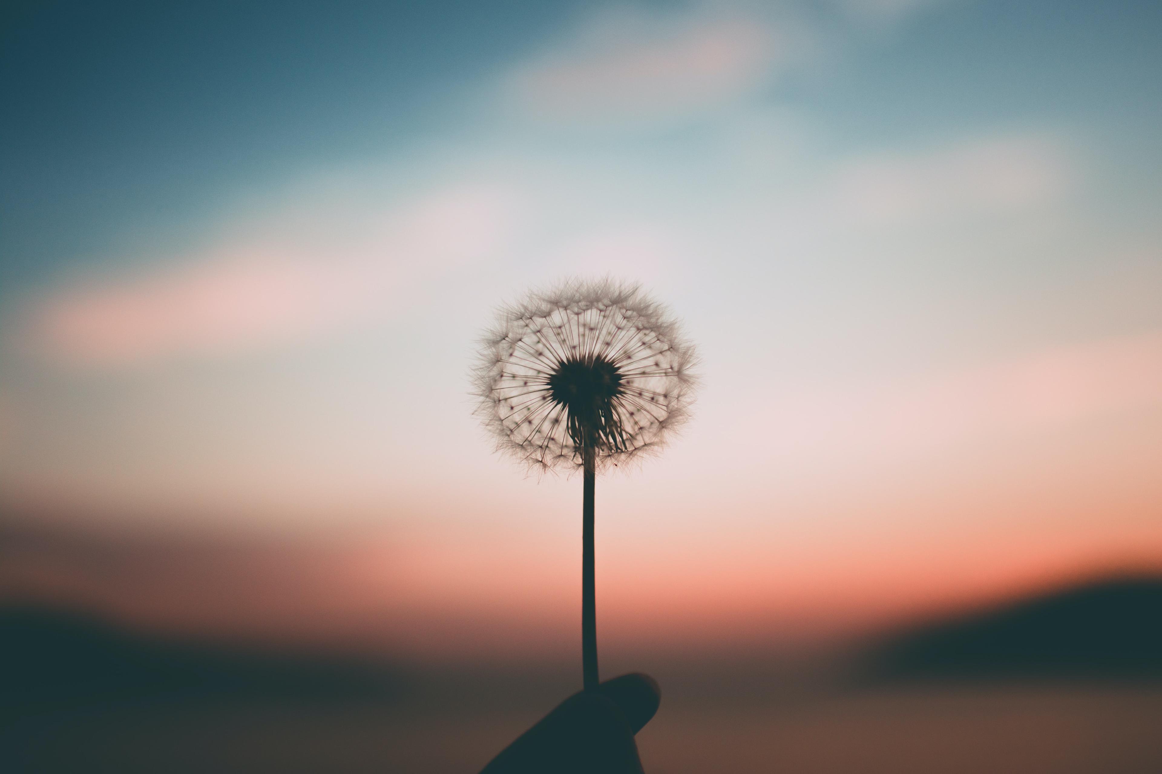Techniques to help students cope with anxiety in the new normal